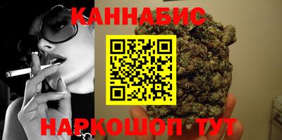 гидра Новодвинск