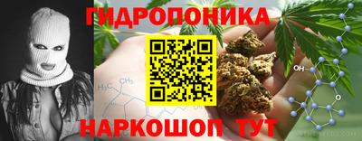 гидра Новодвинск