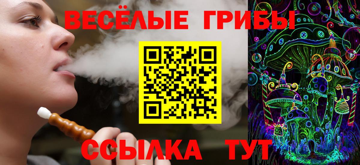 Галлюциногенные грибы Cubensis  Галлюциногенные грибы GOLDEN TEACHER  наркошоп  Вход с VPN  Дятьково 