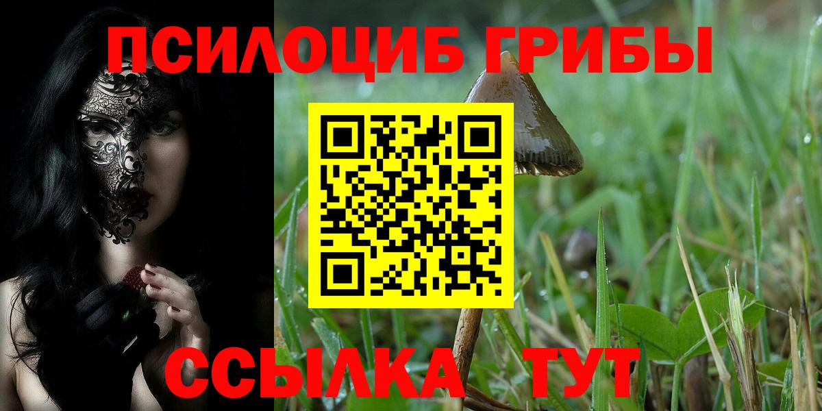 Псилоцибиновые грибы мухоморы Дятьково